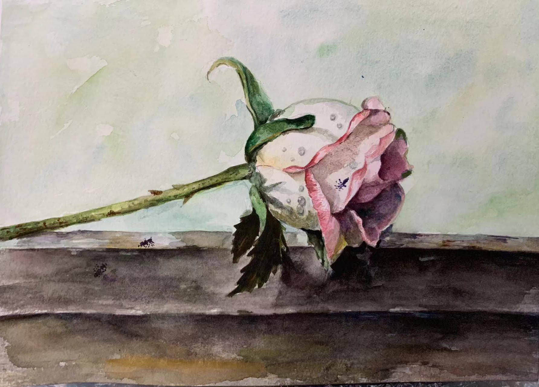 Gallery image 26