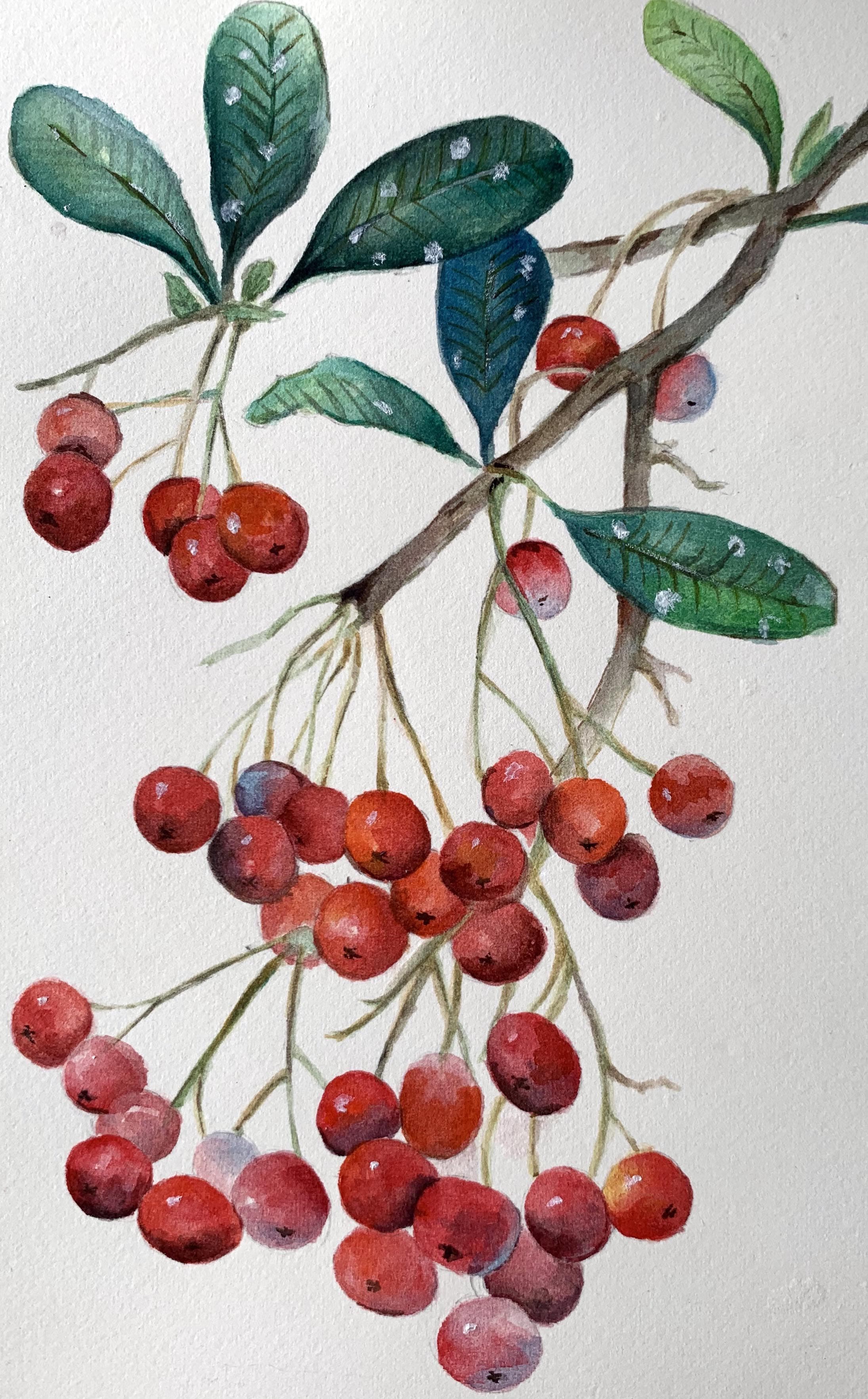 Gallery image 27